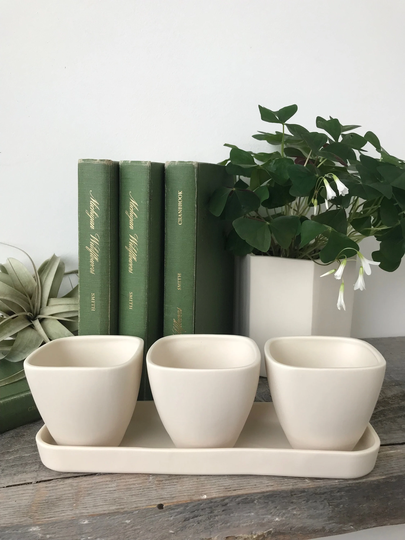 Planter Set Of Three With Tray, Valentine's Day Gift, Succulent