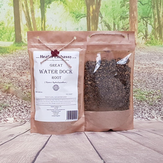 Great Water Dock Root/Rumex Hydrolapathum L Herbal Tea Health Embassy