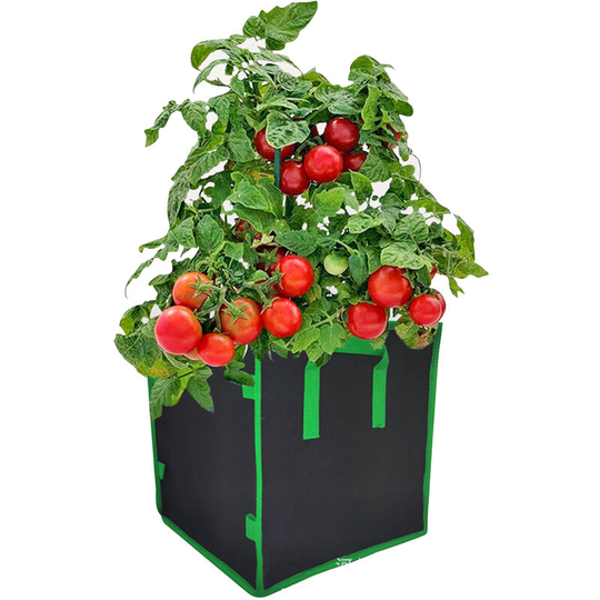 10 Gallon Garden Grow Bags Square Planter Box Planting Beds Grow Pots with Handles Breathable Plant Container Felt Planter Bags for Carrots Onions