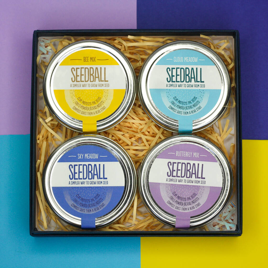 Wildflower Seeds Gardeners Gift Set