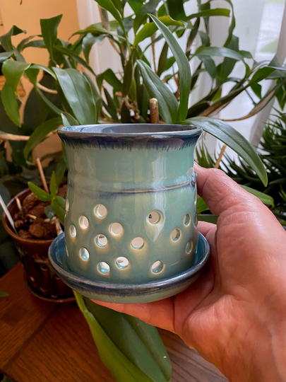 Orchid Pot Minis, Pots For Keikis, Small