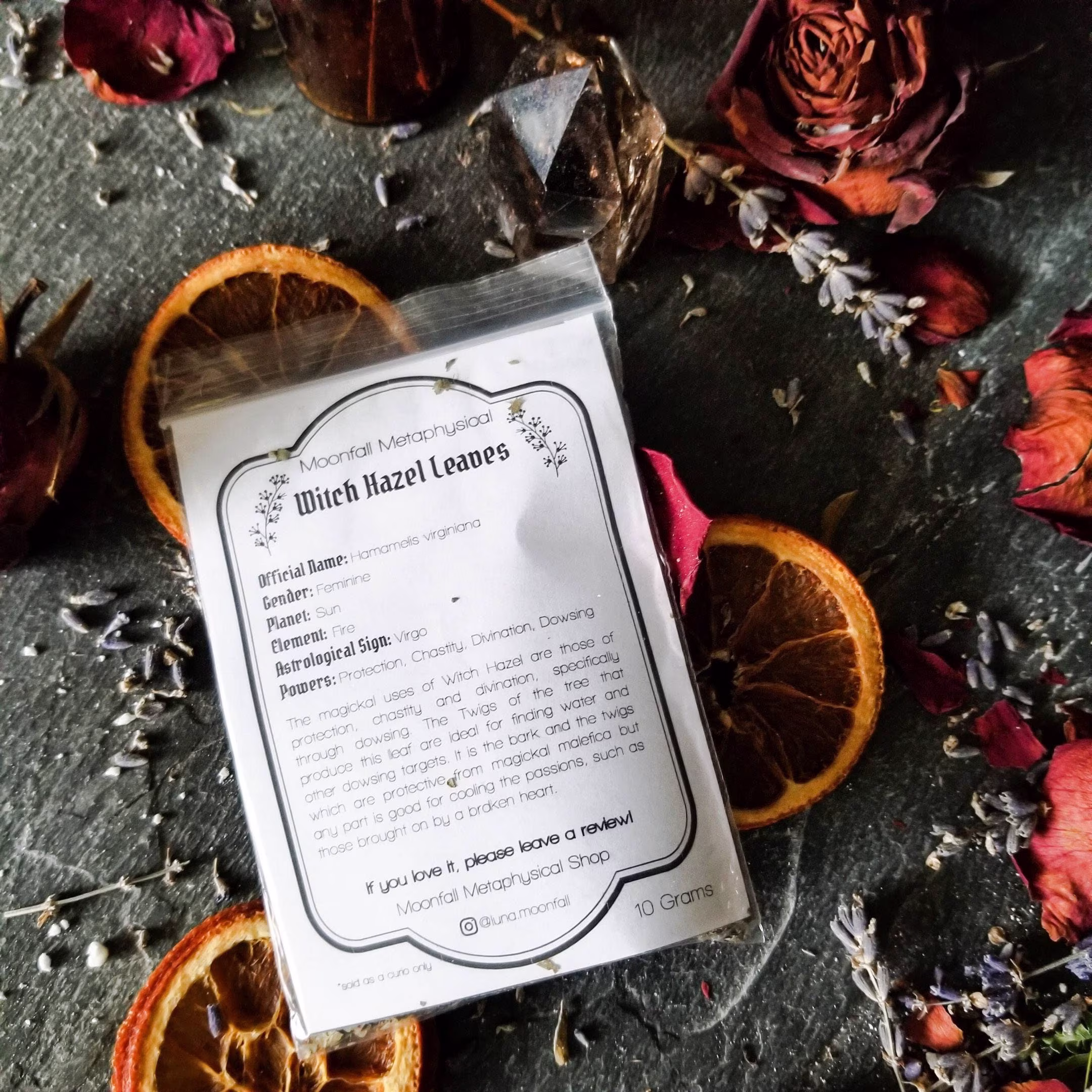 Witch Hazel Leaves | Witchcraft Herbs Hamamelis Virginiana
