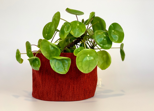Eco Friendly Upcycled Red Textured Fabric Plant Pot/Festive Table Decor Christmas Planters