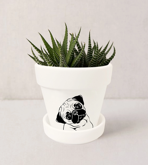 Pug Planter, Funny Decor, Gift, Gift For Dog Lover, Home Office Indoor Succulent Pot with Saucer | Plants Not Included | White