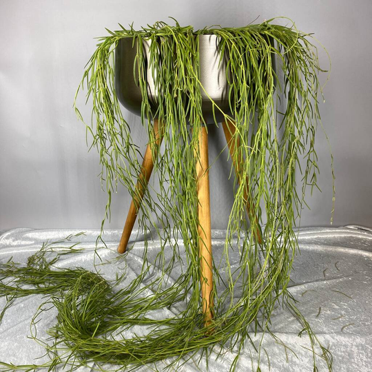 Large Hazel Bowl Bronze And Wood Tripod Planters
