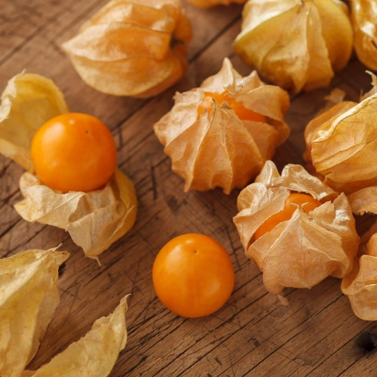 Cape Gooseberry Peruvian Groundcherry 25 Seeds | Easy To Grow, Exotic & Deliciously Sweet Tasting Berries Australia Rare