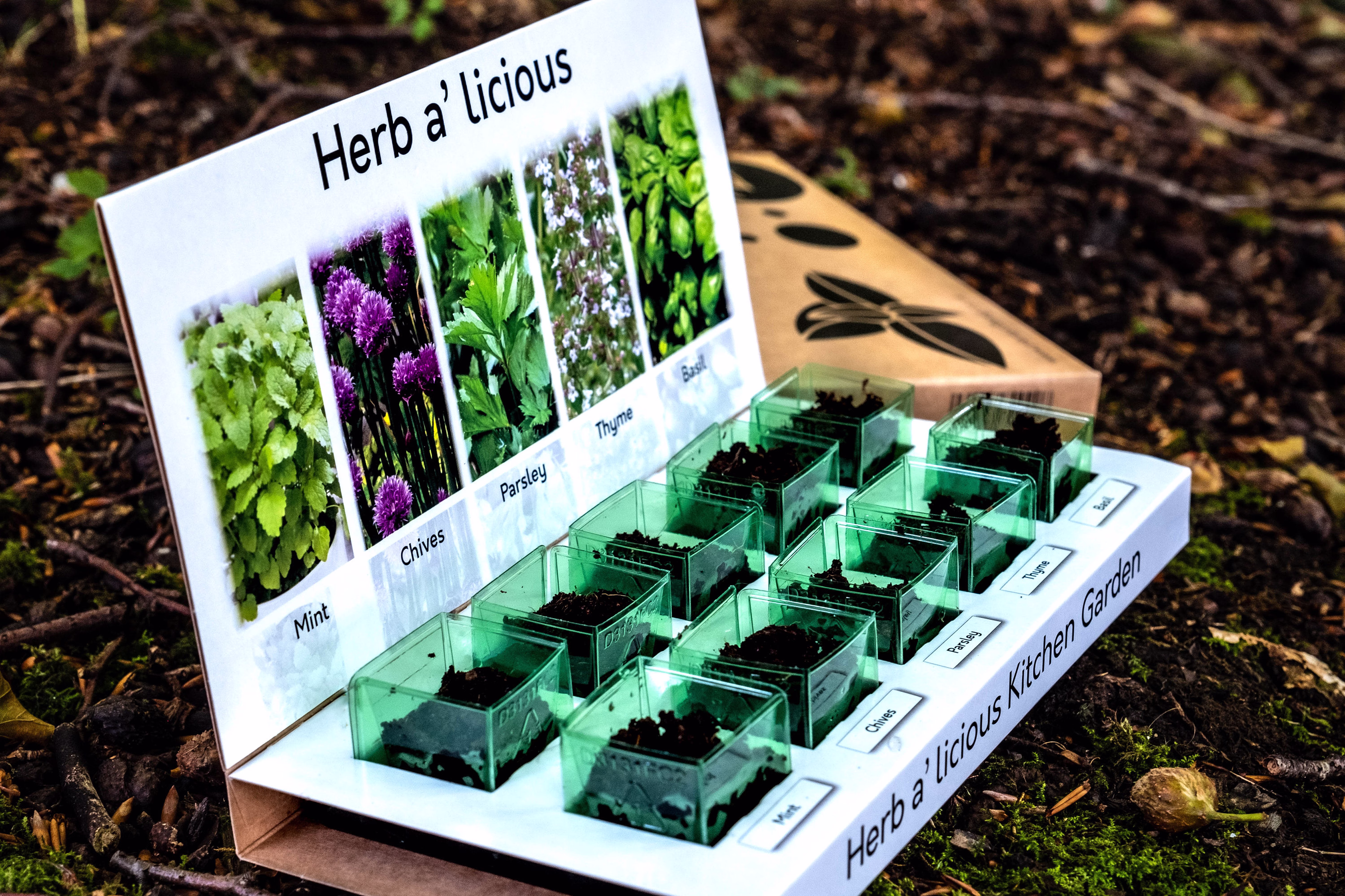 Herbs-A-Licious Grow Your Own Kitchen Herbs Kit With 5 Different Varieties To From Seed, Eco Friendly & 100% Recyclable
