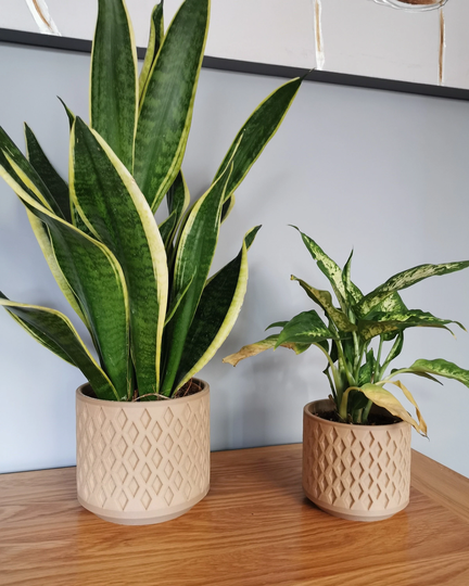 Geometric Indoor Wood Plant Pot, Diamond Pattern, Large Planter, Fibres, Plants, 3D Printed, Classic Scandinavian