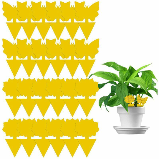 Naxunnn - 50 Pcs Insect Traps, Double Sided Sticky Paper, Fly Insect Trap for White Leaf Fly, Aphids, Garden Plant Flower Fruit, Anti Gnats Indoor