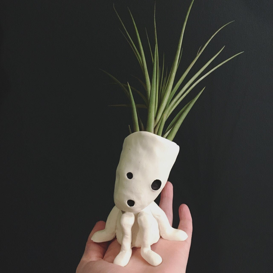 Kodama Air Plant Planter