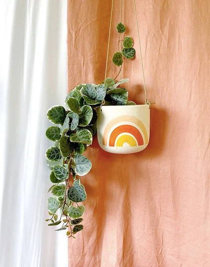 Boho Rainbow Hanging Planter Pot For Succulents & Plants | Succulent Home Decor Valentines Day Gift