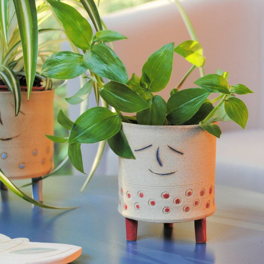Smiley Face Planter Red Details Personalised
