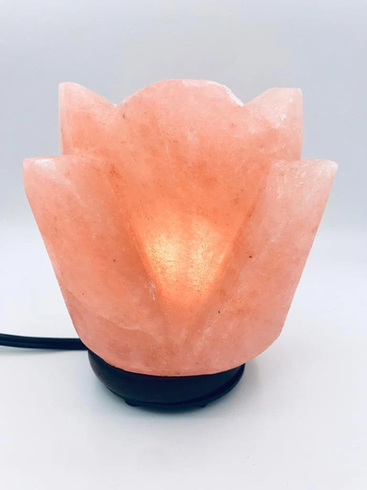 Christmas Sale - Natural Pink Himalayan Lamp Lotus Shape