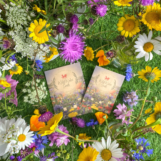 Queens Jubilee 'Superbloom' Wildflower Seeds
