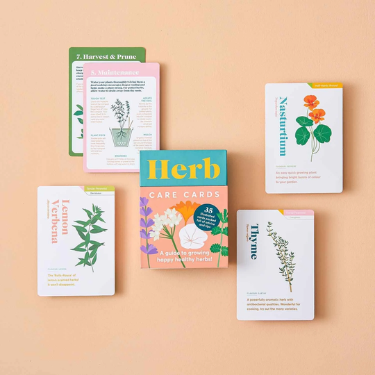 Herb Care Guide Advice, Tips & Maintenance For Healthy Herbs