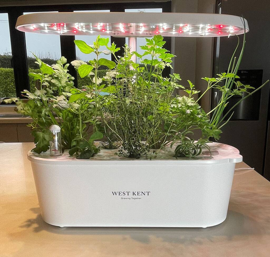 Indoor Hydroponic Kitchen Herb Garden + Pack Of Seeds