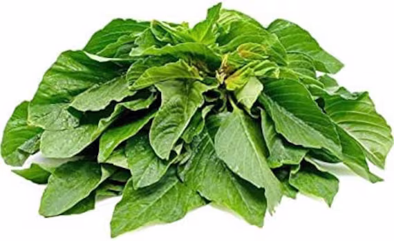 2, 500 Seeds - Amaranth Green Giant Green Stem Callaloo | UK Seller