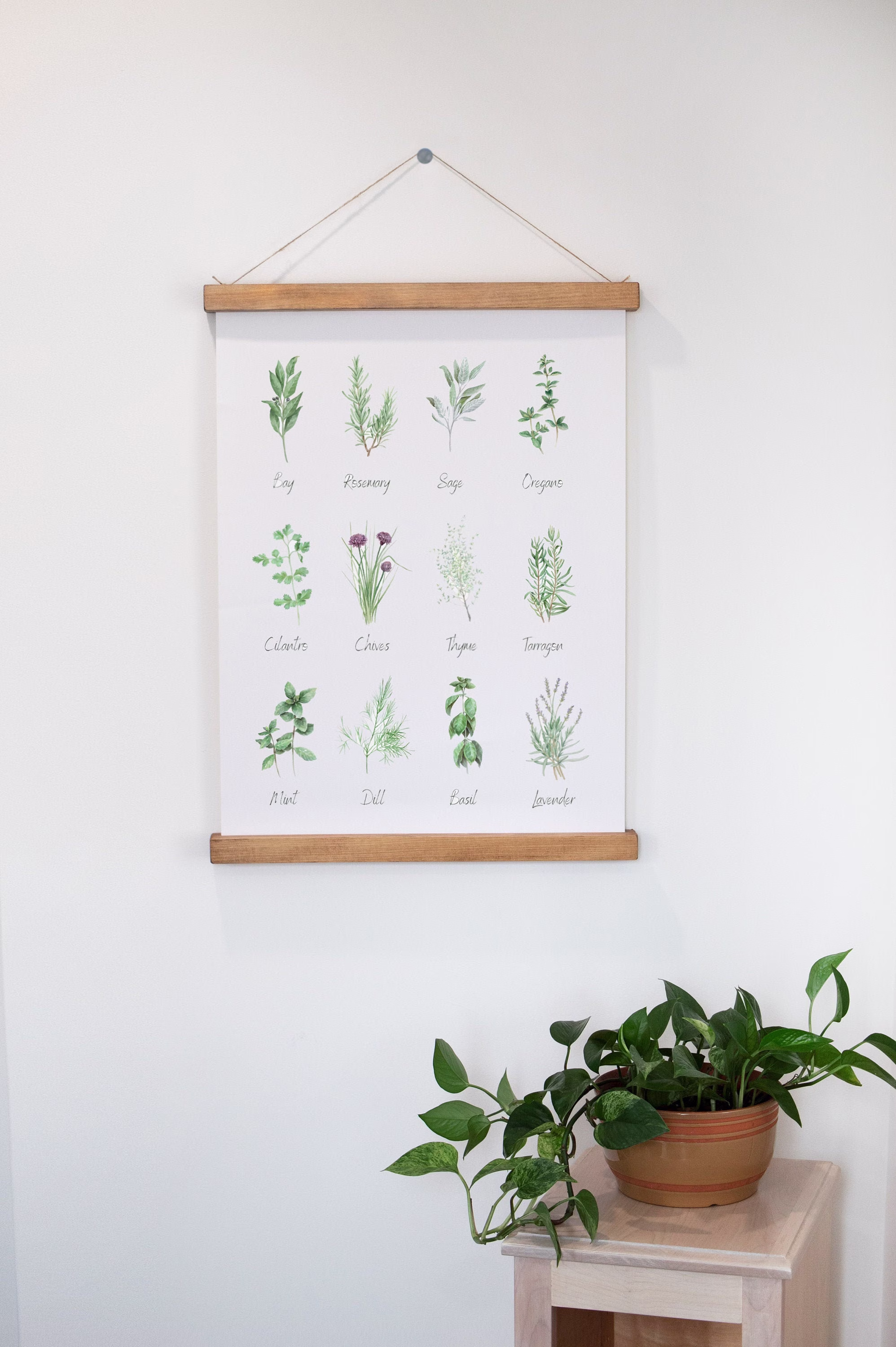 Herb Chart Hanging Canvas Art, Herbs Watercolor Wall Wooden Frame Poster, Home & Kitchen Decor, Culinary