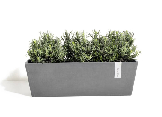 Ecopots Bruges Planter Made From Recycled Plastic