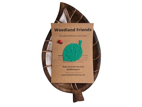Eco - Friendly Party Bag Fillers. Plastic Free - Favours. Seeded Paper Shapes. Plantable Seed Paper Wildflowers