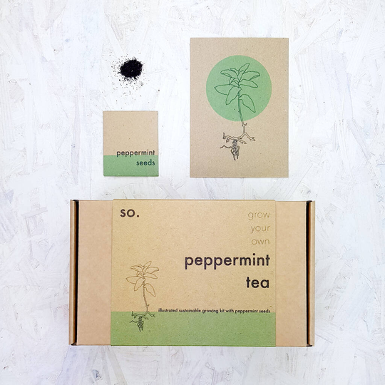 Grow Your Own Peppermint Tea Herbal Seed Kit