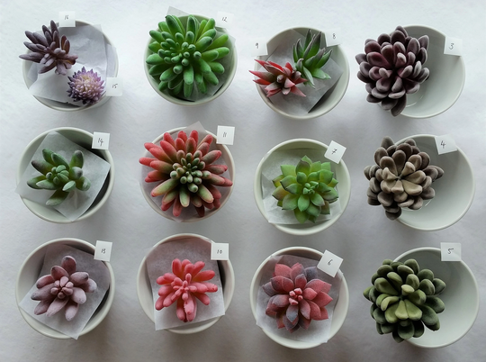 Succulent Plants Faux Succulents Artificial Fake Stems Favours Gift Plant For Pot