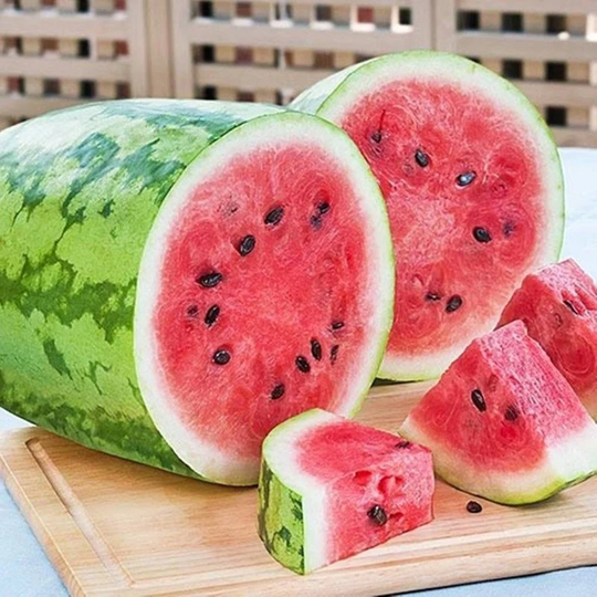 Watermelon Gabai Seeds Heirloom Non Gmo For Planting | 204728