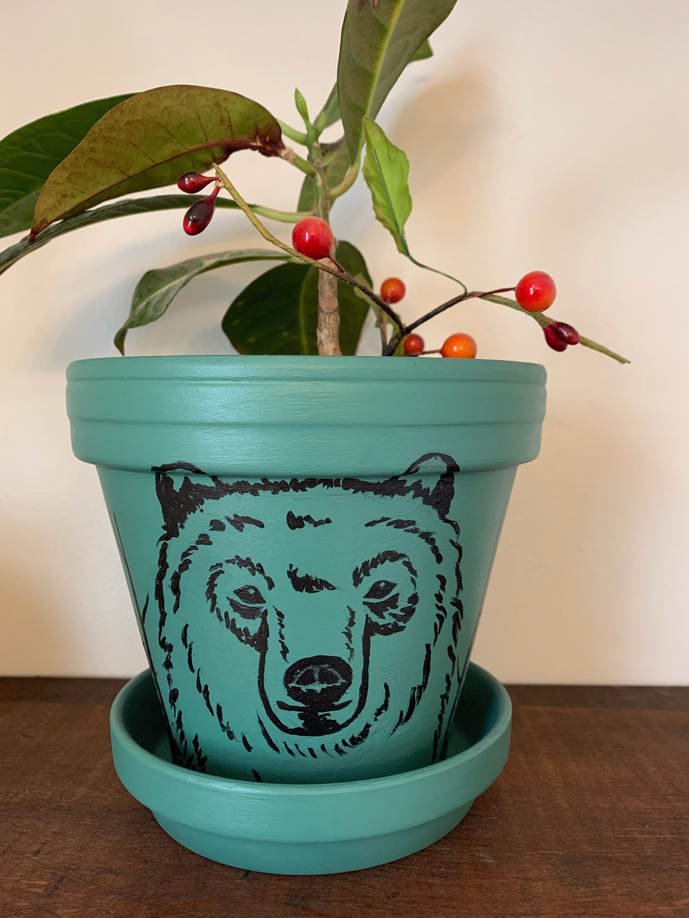 Flower Pot, Indoor Pots, Plant Decorative Flower Bear Pot