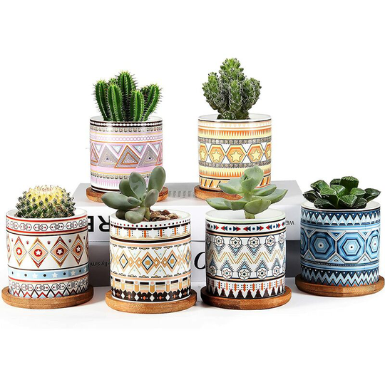 Succulent Planter, 3 inch Ceramic Mini Succulent Pots, Mandala Pattern Round Small Flower Pots with Drainage and Bamboo Tray, Pack of 6 - Plants Not