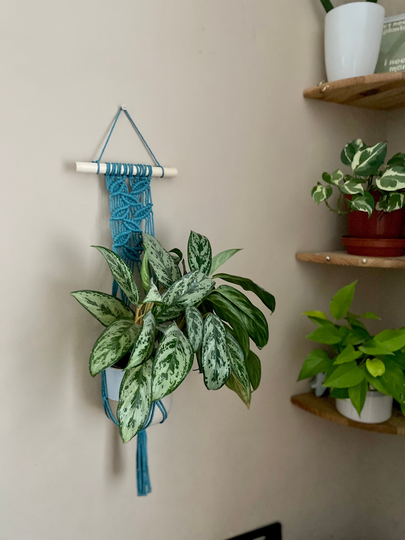 Teal Blue Macrame Plant Hanger, Boho Home Decor, Botanical Wall Art, Eco Friendly Gift For Lover, Hanging, Indoor Pot Holder