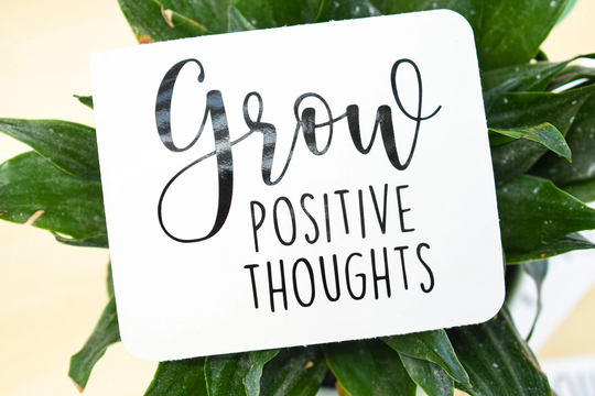 Grow Positive Thoughts | Planter Decal Only Affirmations Great To Customize Your Own Planter Gift For Plant Lovers