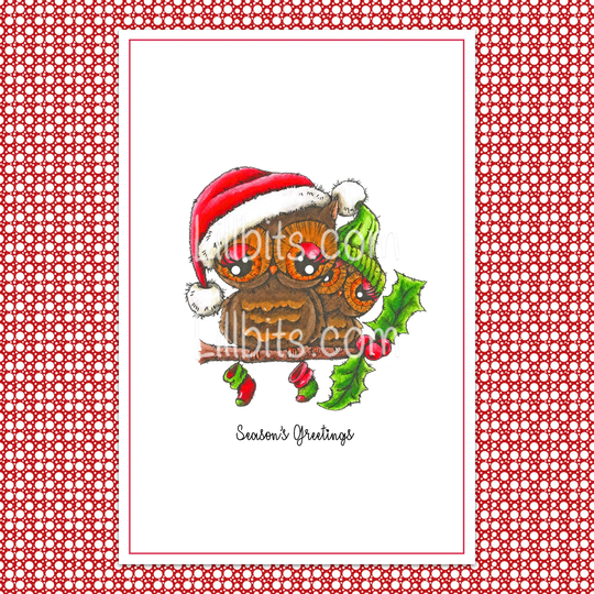 Cute Christmas Owls - Greeting Card Season's Greetings Festive Holly