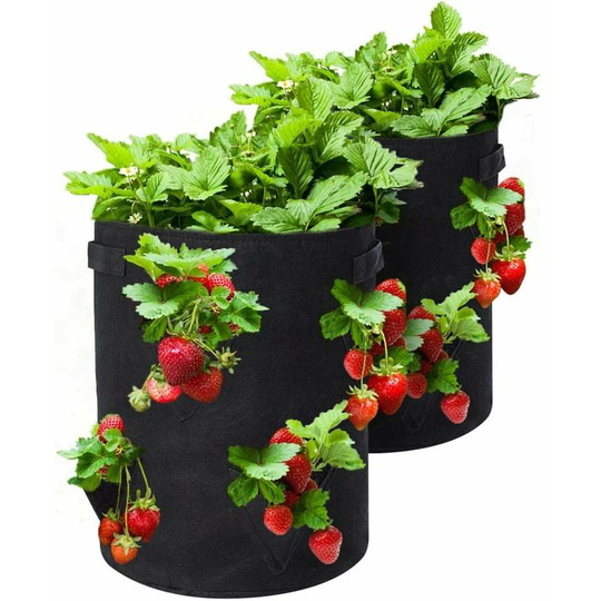 Planting Bag Grow Bags/Garden Planting Bag for Strawberry/Potato