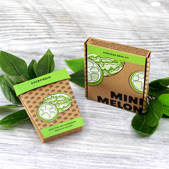 Mini Melon Cucamelon Grow Pot Kit