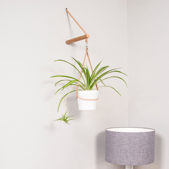 Peg Plant Hanger + Pot Holder, Plant Hanger, Leather Holder, Wall Planter, Stocking Filler, Christmas Gift