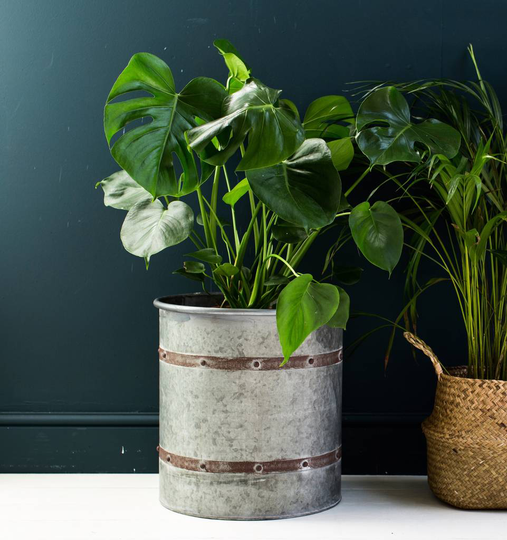 Large Distressed Metal Banded Planter