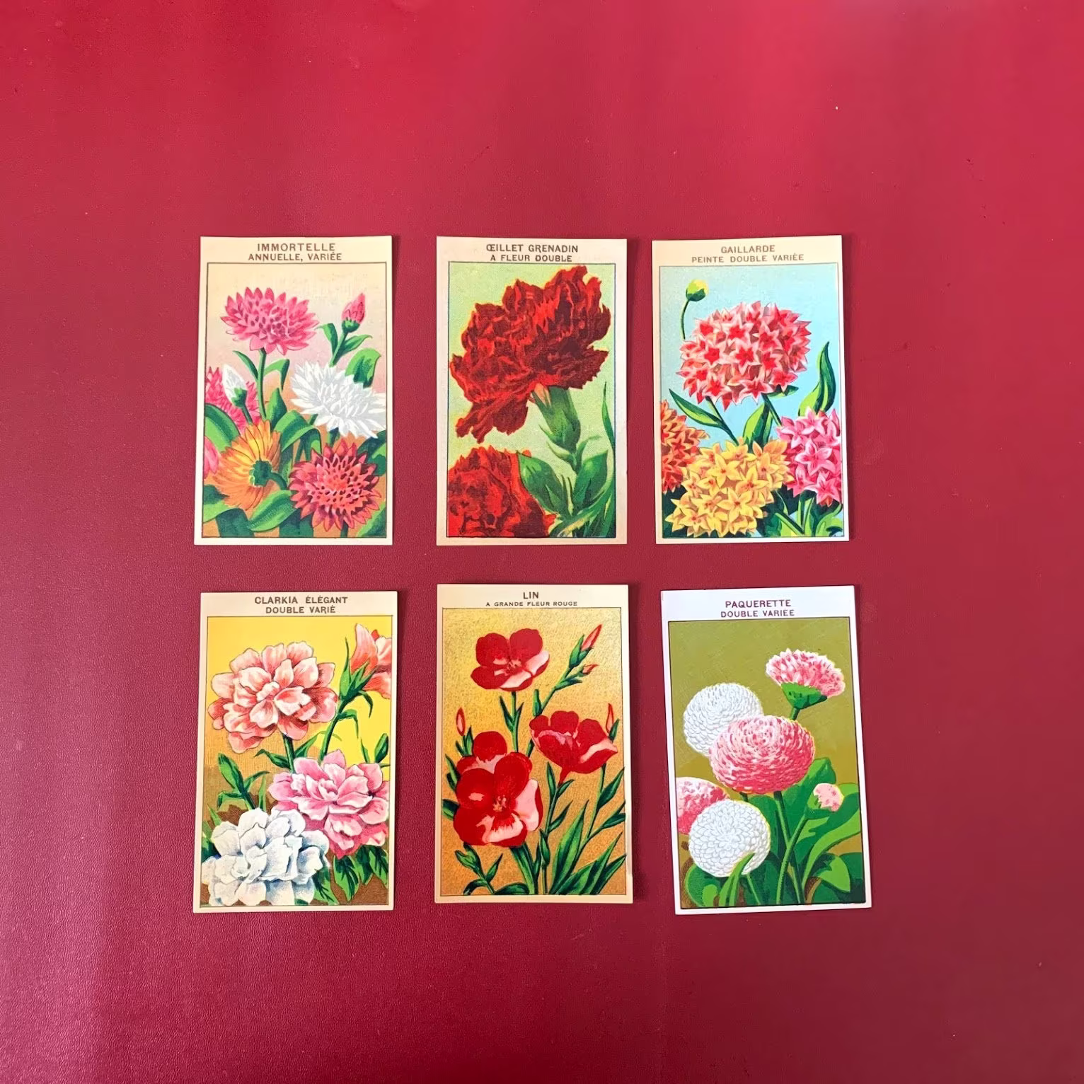 Vintage Seed Labels | 6 1920's Packet Lithograph Prints From Hand Painted Drawings Approx 10cm X 6cm