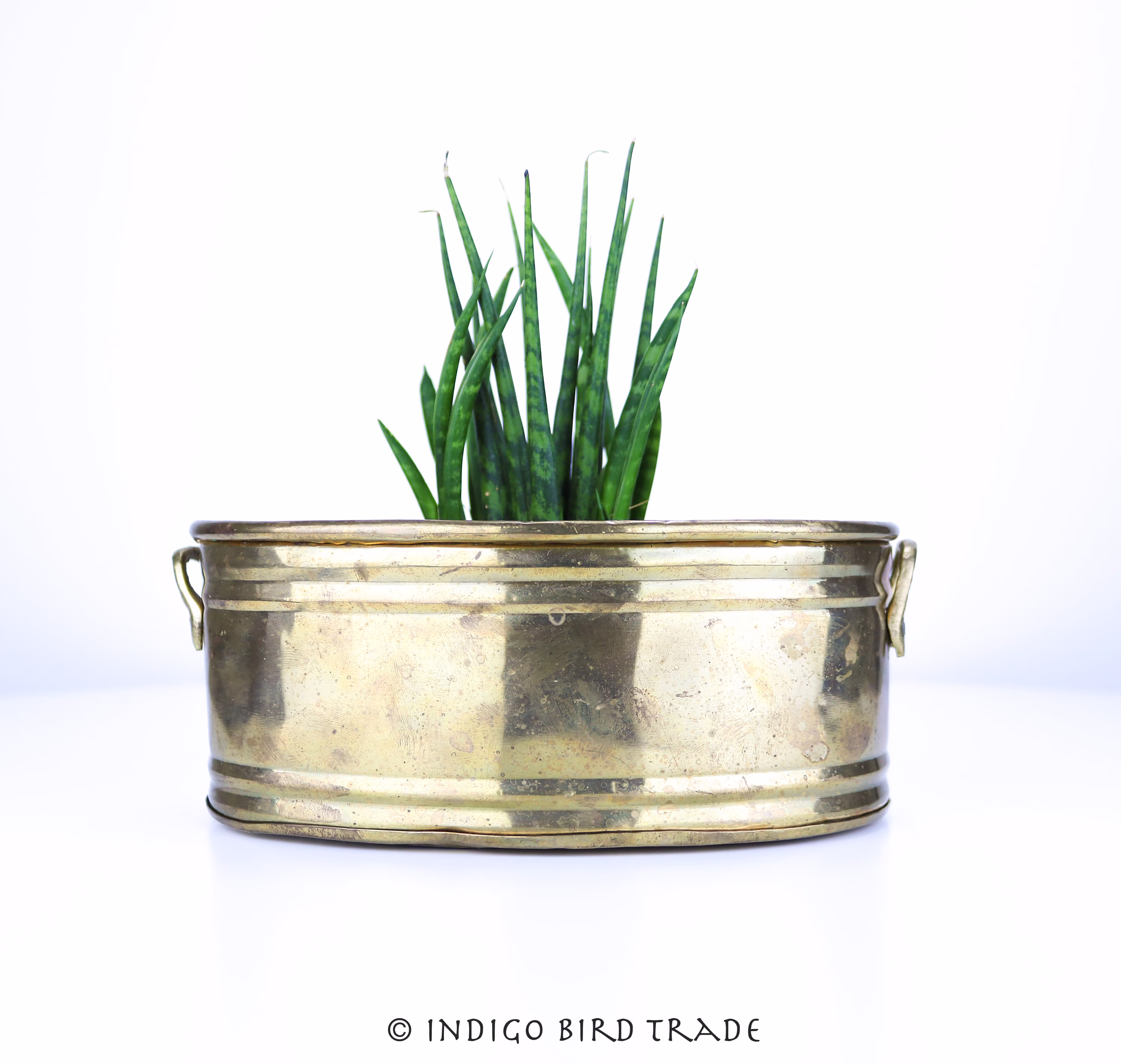 Vintage Brass Planter With Handles | Antique Gold Metal Indoor Plant Pot Small Medium Oblong Holder Mid Century Cactus