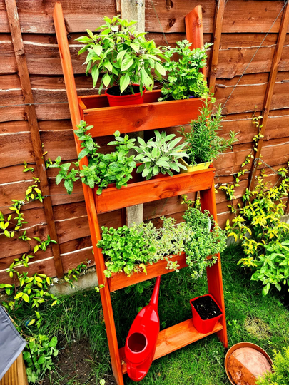 Wooden Planter- Ladder - Outdoor, Herbs, Plants, Flowers, Shrubs, Decorative, Flowerbed, Accessory, Garden, Wood, Handmade, Rustic, Bespoke