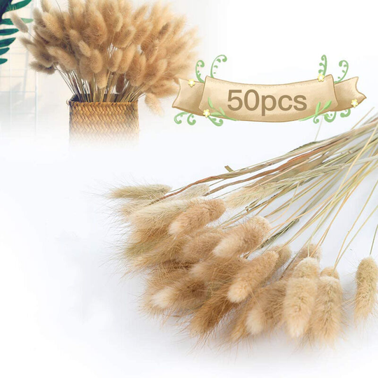 Dksfjkl - 50pcs dried flowers pampas grass decoration, dried pampas grass large bouquet natural flowers pampas herb bouquet wedding decoration home