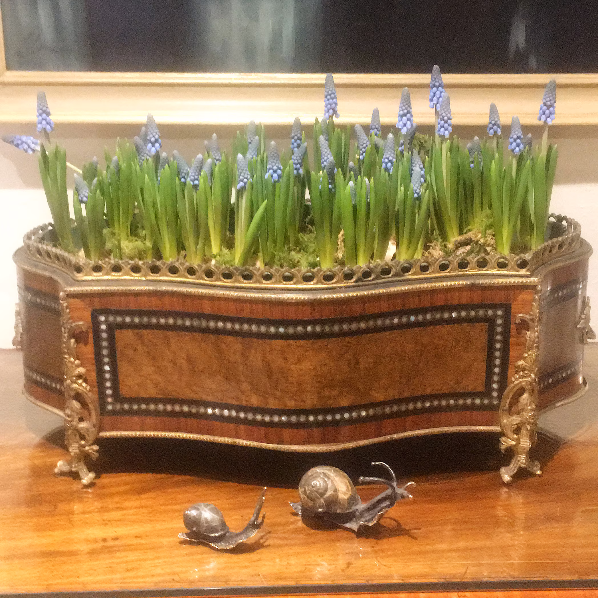 A Large Antique French Kingswood/Mother Of Pearl Brass Ormolu Jardiniere, Removable Metal Liner C1860 Lady Catherine Would Be Impressed