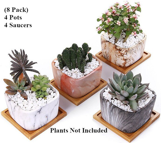 Ceramic Succulent Planter Pots Set, With Drainage Trays, Small Cactus Flower Plant For Plants, Gift Set Of 4 Pot