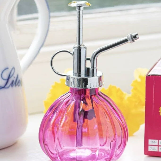 Pink Glass Water Mister Gift , Gardening Birth Flower, Gardening - A Flower, Indoor Garden, Orange-Pink-Green Pretty