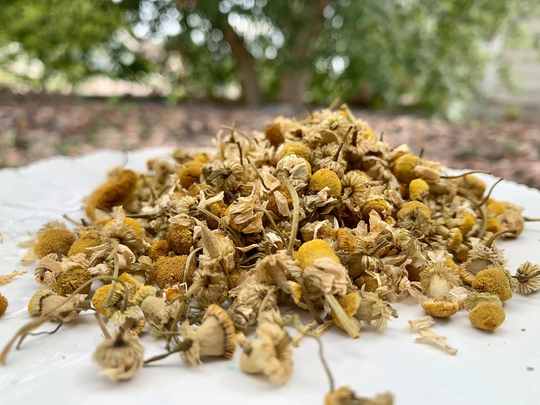 Chamomile | Sleep & Peace