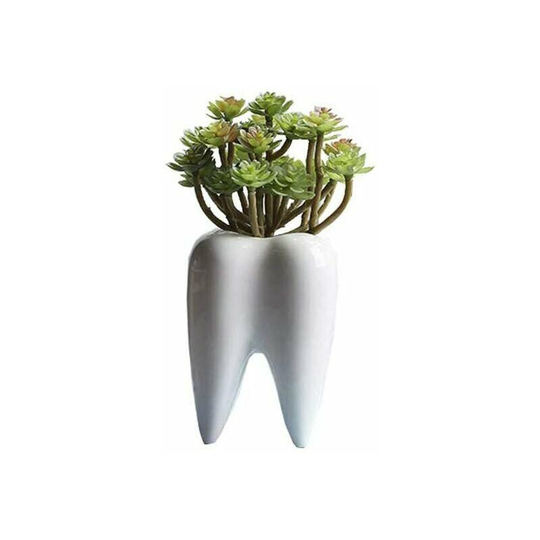 Bearsu - White Cute Tooth Planter Pots Succulent Tooth Planter Pots Creative Ceramic Cactus Pots Mini Flower Plant Containers As Home And Office