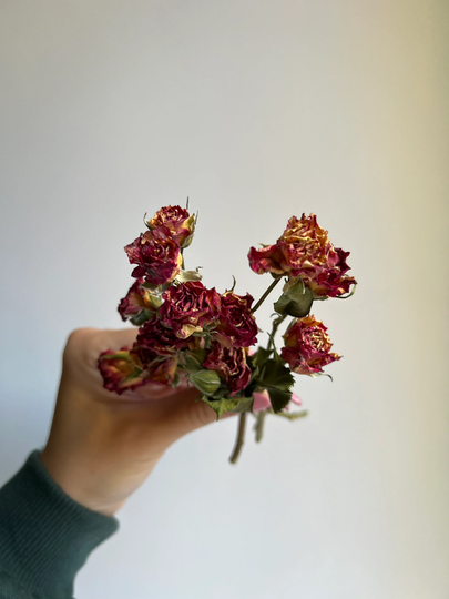 Dried Purple Roses Resin Bulk Herbs Flowers Petite Jewelry Rose Tiny Pink Flowers For Resin Burgundy Roses Dry