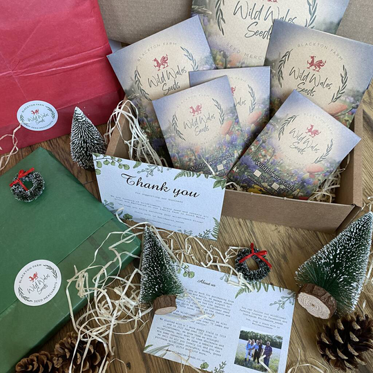 Welsh Wildflower Seed Christmas Hamper