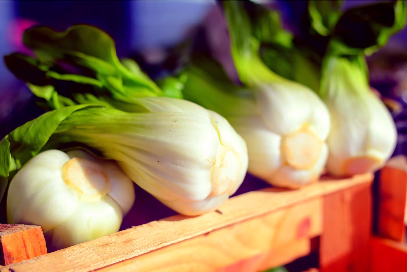 Pak Choi Cabbage Seeds For Planting - Choy Heirloom, Non-Gmo Vegetable Variety- Ships From Iowa, Usa Bok