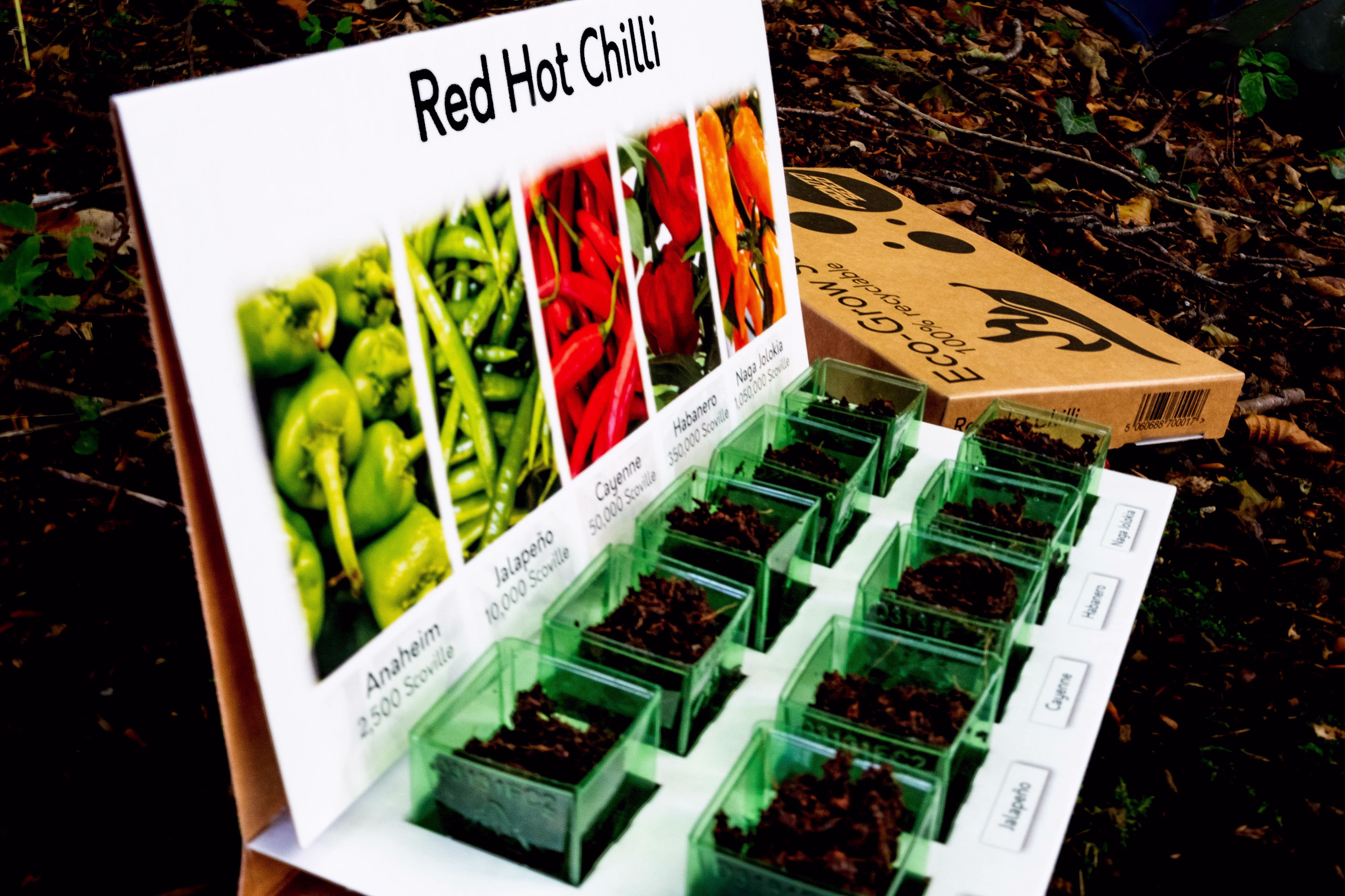 Chilli Growing Kit, Containing 5 Different Varieties Of To Grow From Seed in Your Home. Made Recyclable Materials