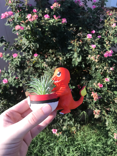 Charmander Succulent Planter | Office Decor Home Modern 3D Printed With Drainage Indoor